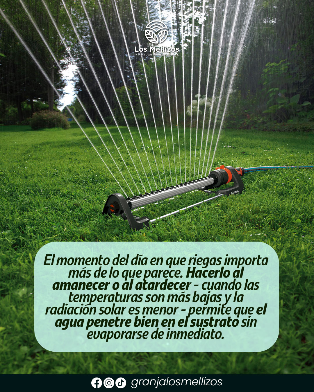 Riego responsable en el jardín