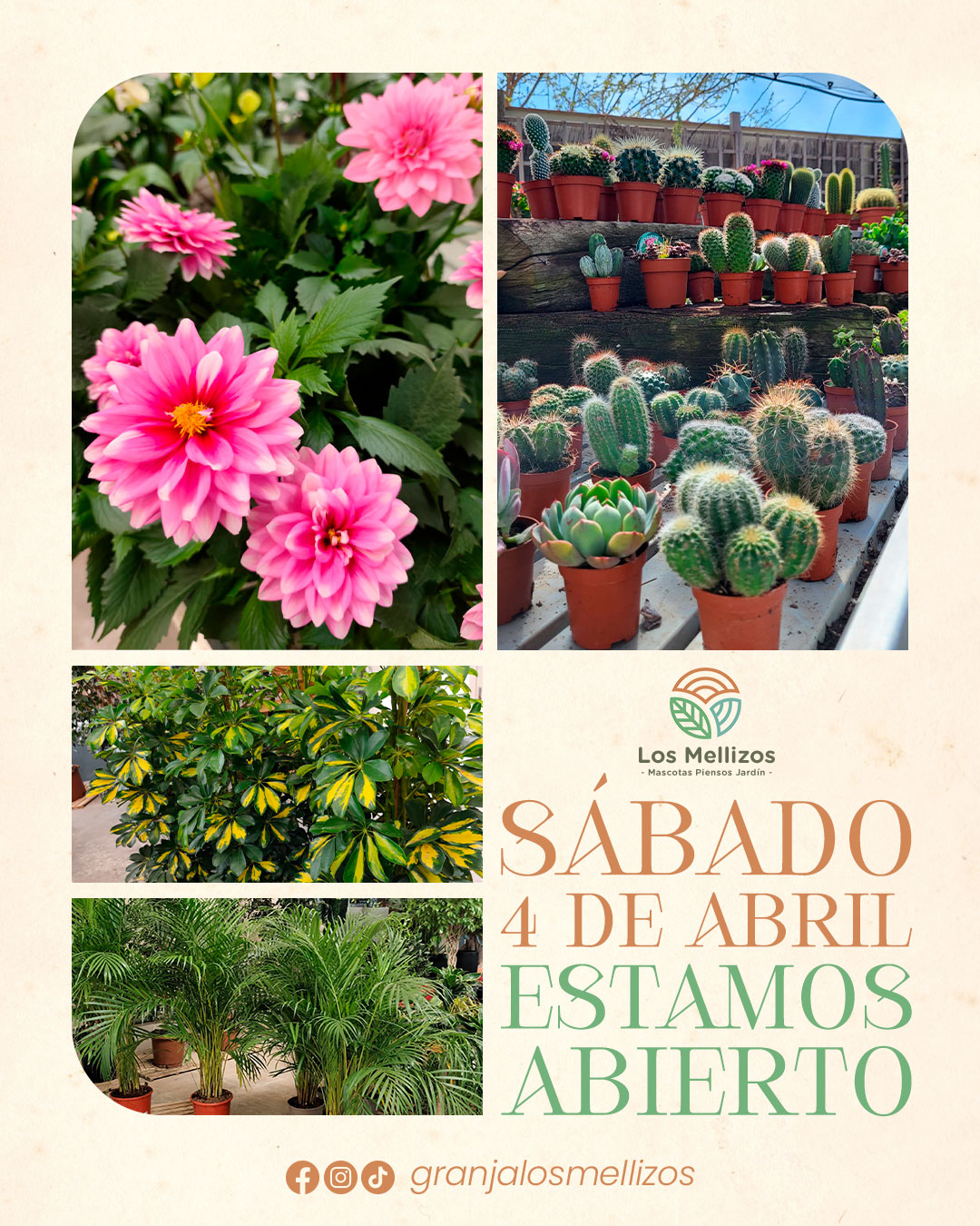 Sábado 4 de Abril · ABIERTO