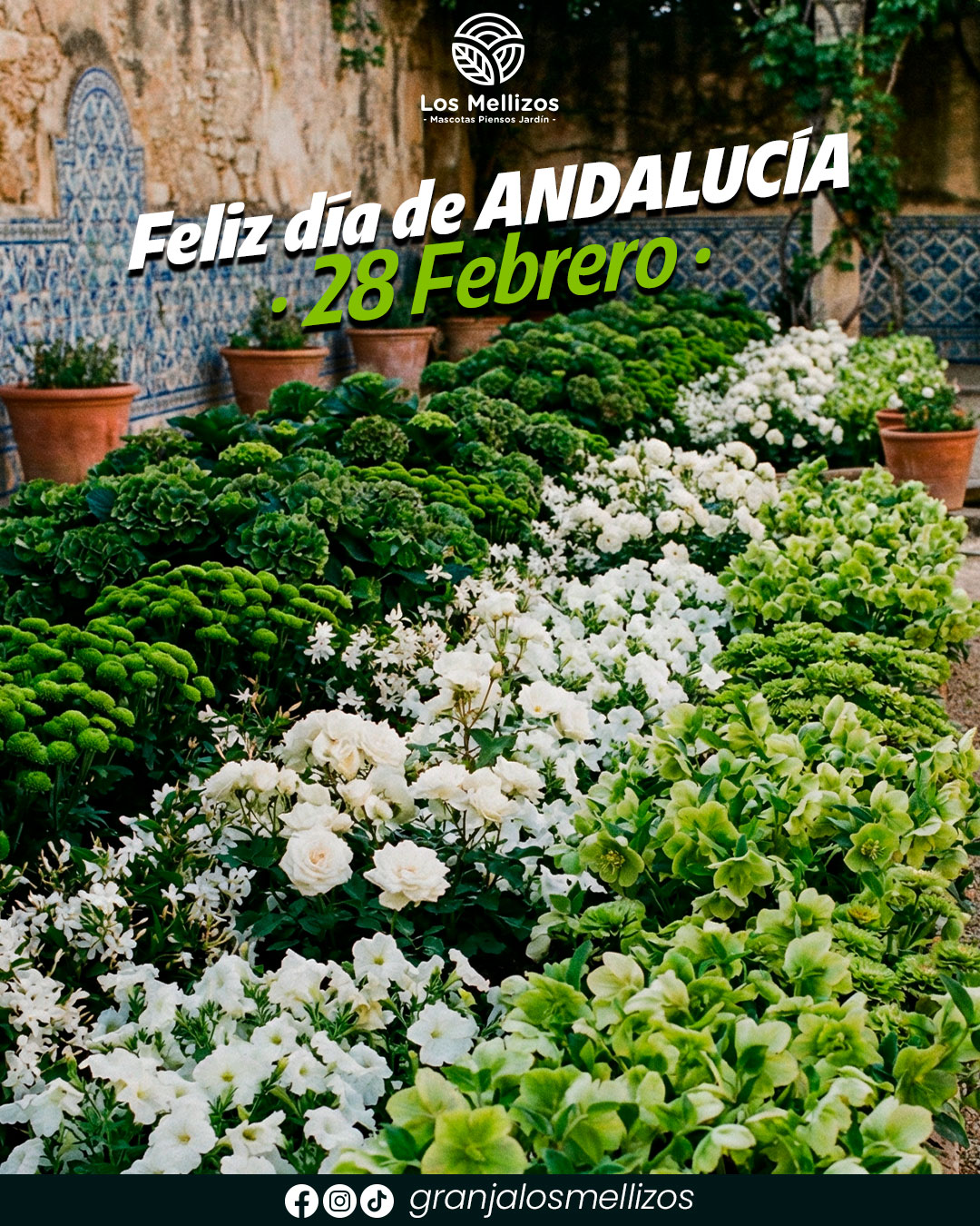 Feliz día de Andalucía