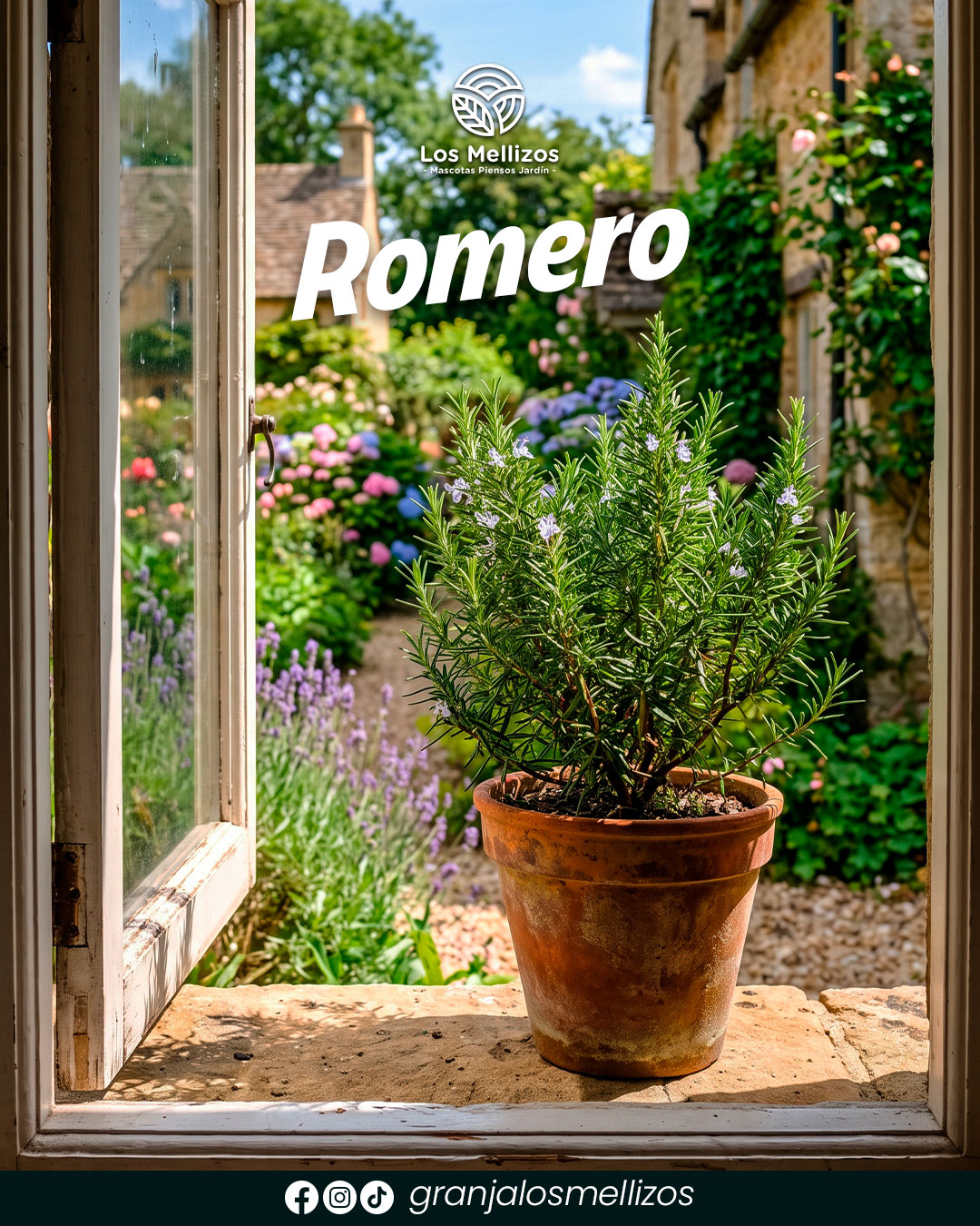 Romero
