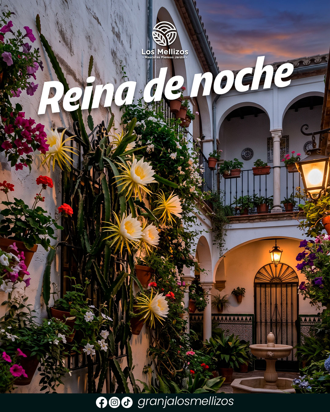 Reina de noche