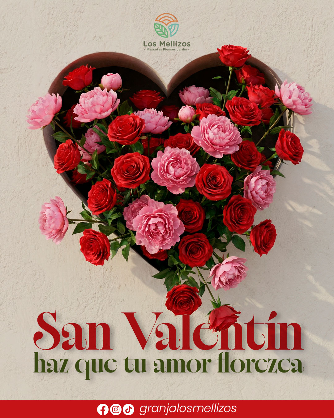 San Valentín · Haz que tu amor florezca