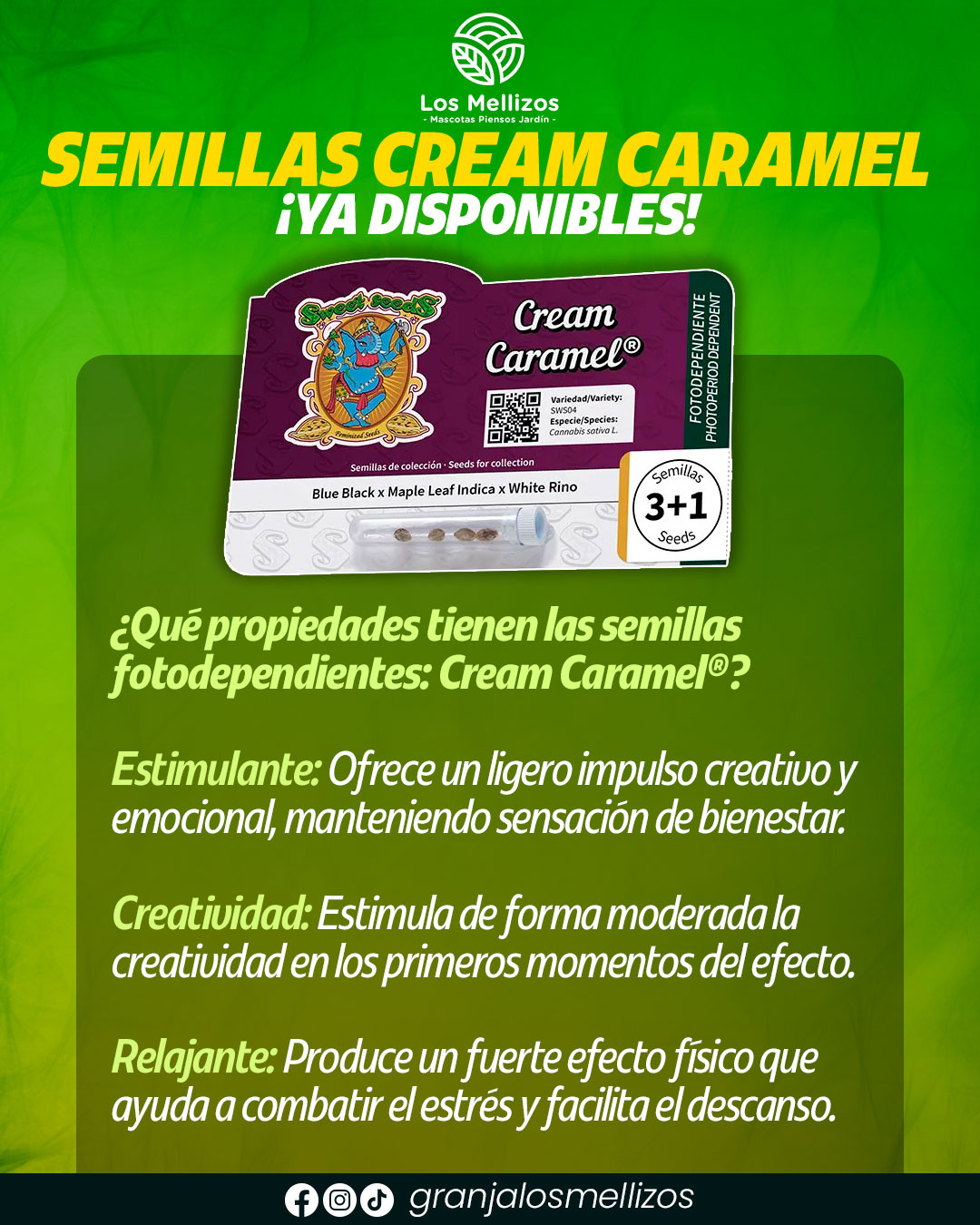 Semillas · Cream Caramel
