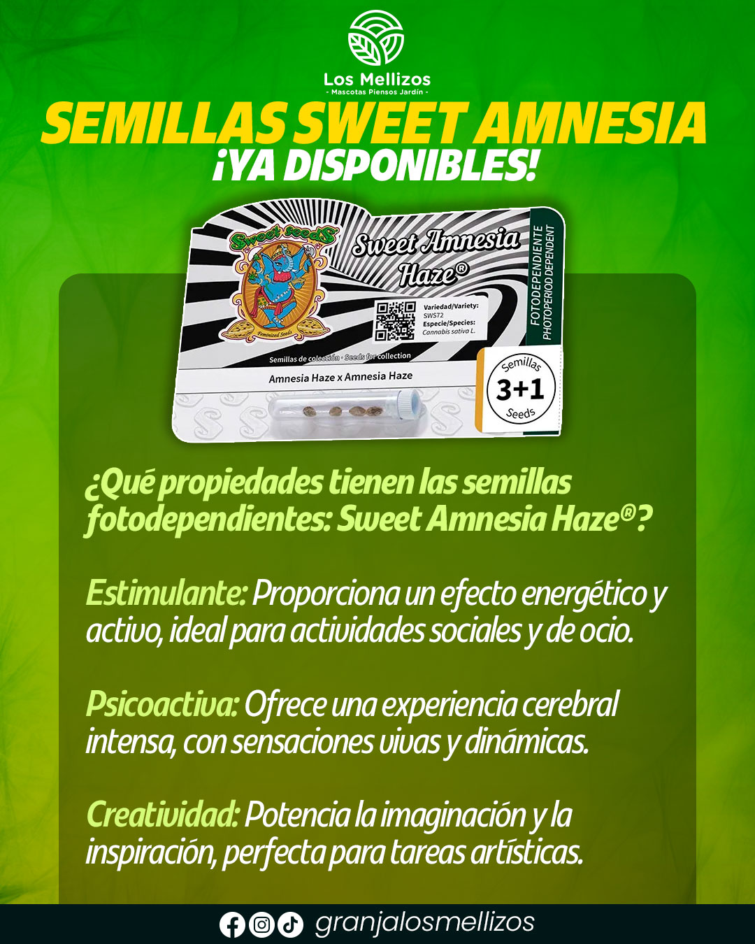 Semillas · Sweet Amnesia Haze
