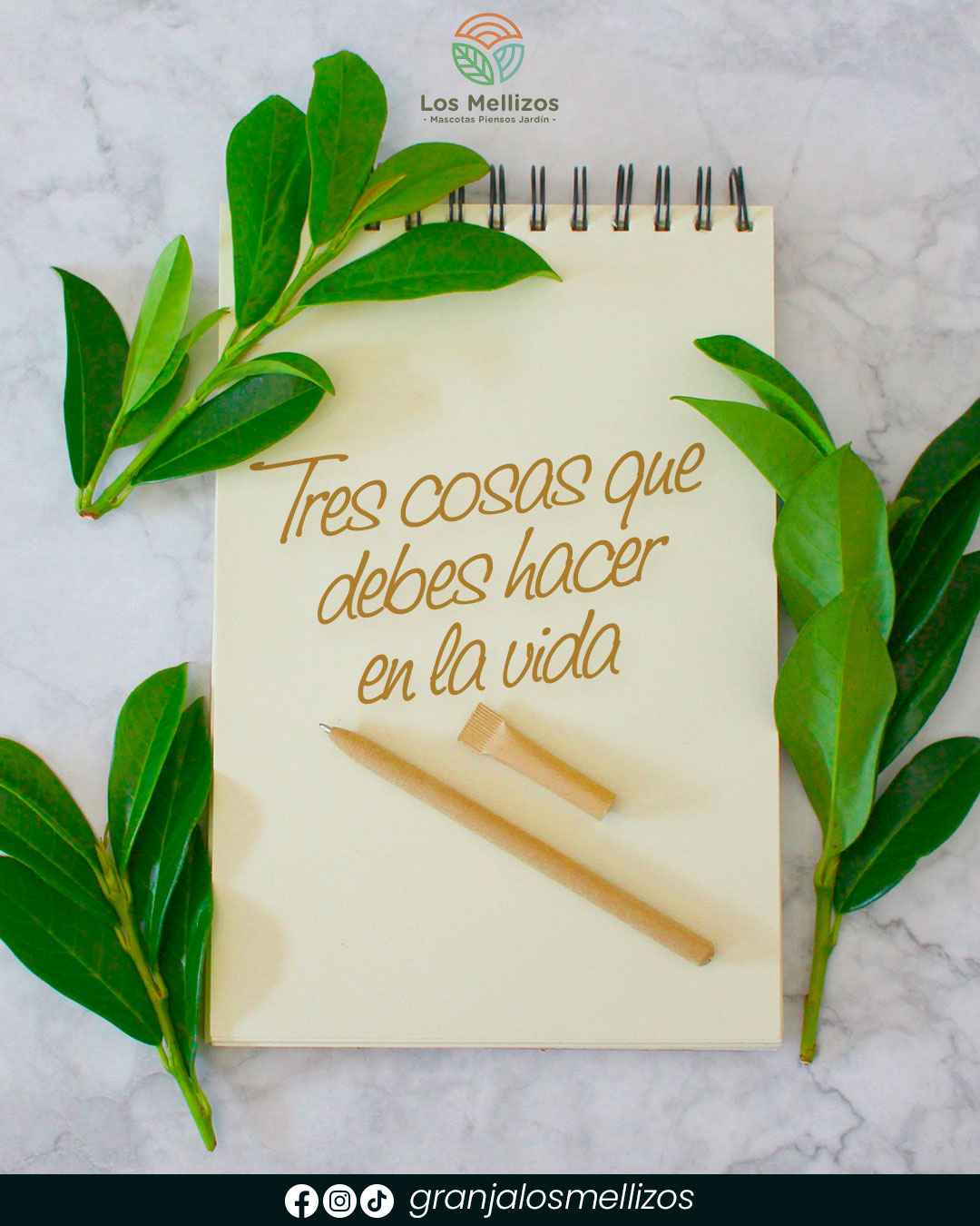 Tres cosas que debes hacer en la vida