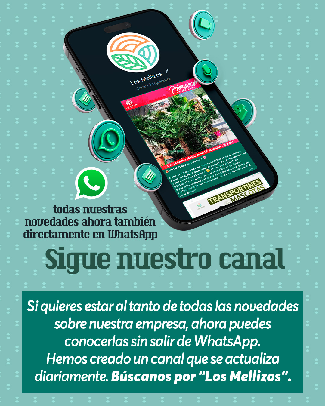 Síguenos en WhatsApp